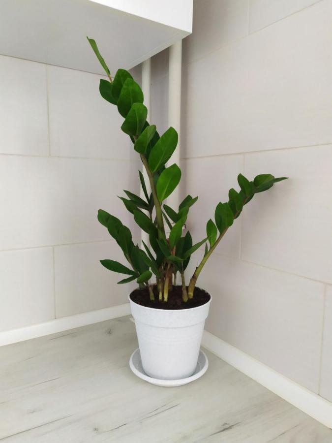 Apartment On Klochkovskaya 152A Харков Екстериор снимка